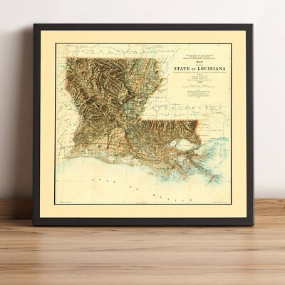 Louisiana Map, Louisiana 2D Relief Map, Louisiana Vintage Map - 2D Flat Print
