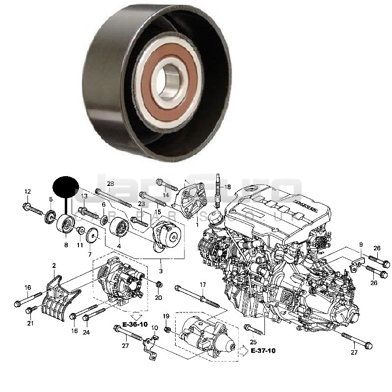 Honda accord top belt tensioner