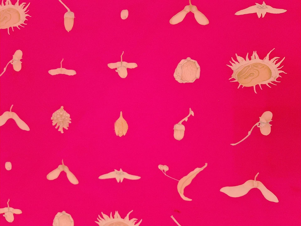 Bufanda Vintage Auténtica Bellota Semilla Cupula Rosa Seda Larga Mujer Foto 2 de 3