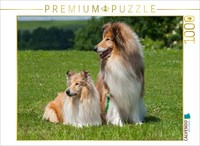 Calvendo Puzzle Collie - Male And Female | 1000 Pieces, Finished Size 25.2 × 18.