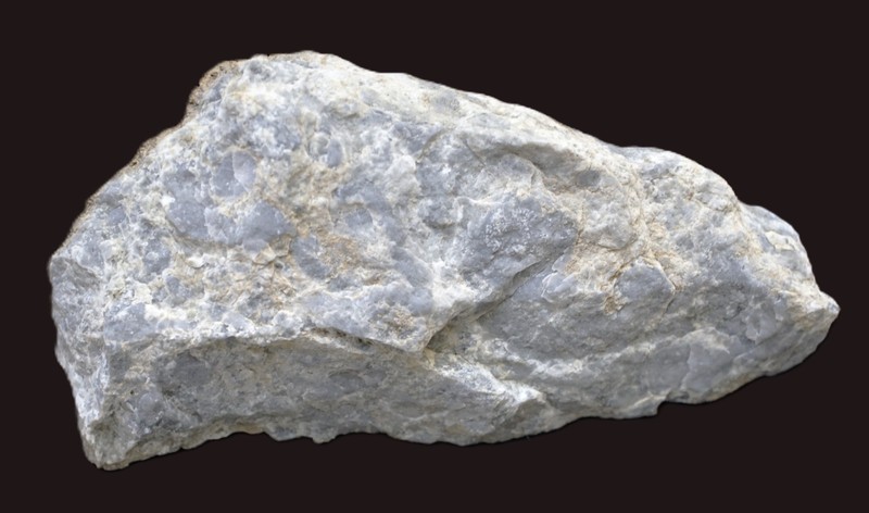 ARCHAEOCYATHA from Lower Cambrian POLETA FORMATION Inyo Mountains CA