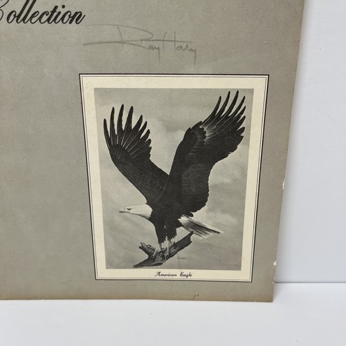 The Ray Harm Collection Exhibition Booklet 1971 American Eagle Artwork Sketches - Picture 2 of 17