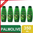 PALMOLIVE NATURALS SHAMPOO ACTIVE NOURISHMENT ALOE VERA