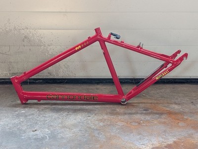 Cannondale M800 Beast of the East Rahmen | Vintage MTB Retro Aluminium