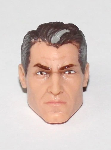 PURGE 833 General Hawk Head GIJOE CLASSIFIED SERIES 6" Scale 1/12