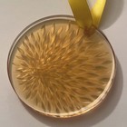 Picture 5 of 7