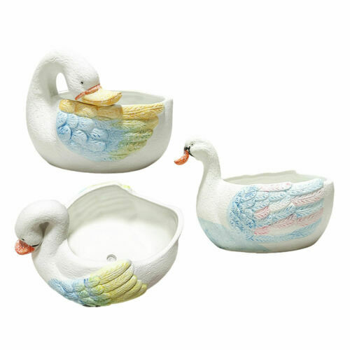 Aiuola Durevole Con Piante Resistenti Al Sole Che Richiedono Anche Poca - Foto 7