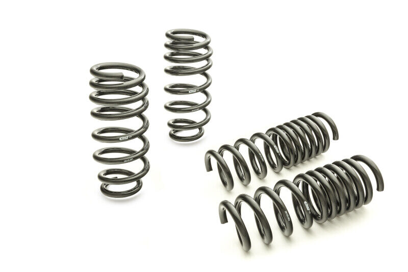 Eibach Pro Kit for 11- Charger V6/ V8 Eibach Pro Kit for 11- Charger V6/ V8