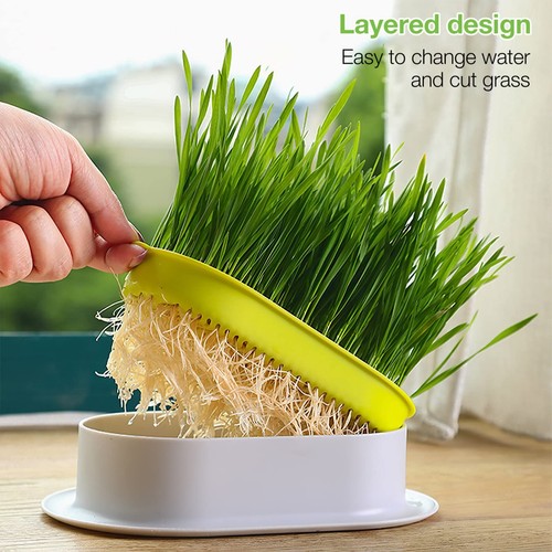 3pcs Cat Grass Planter Hydroponic Cat Grass Box Cat Catnip Trays for Soilless... - Picture 4 of 7