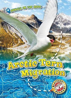 Arctic Tern Migration, Kari Schuetz,  Hardback