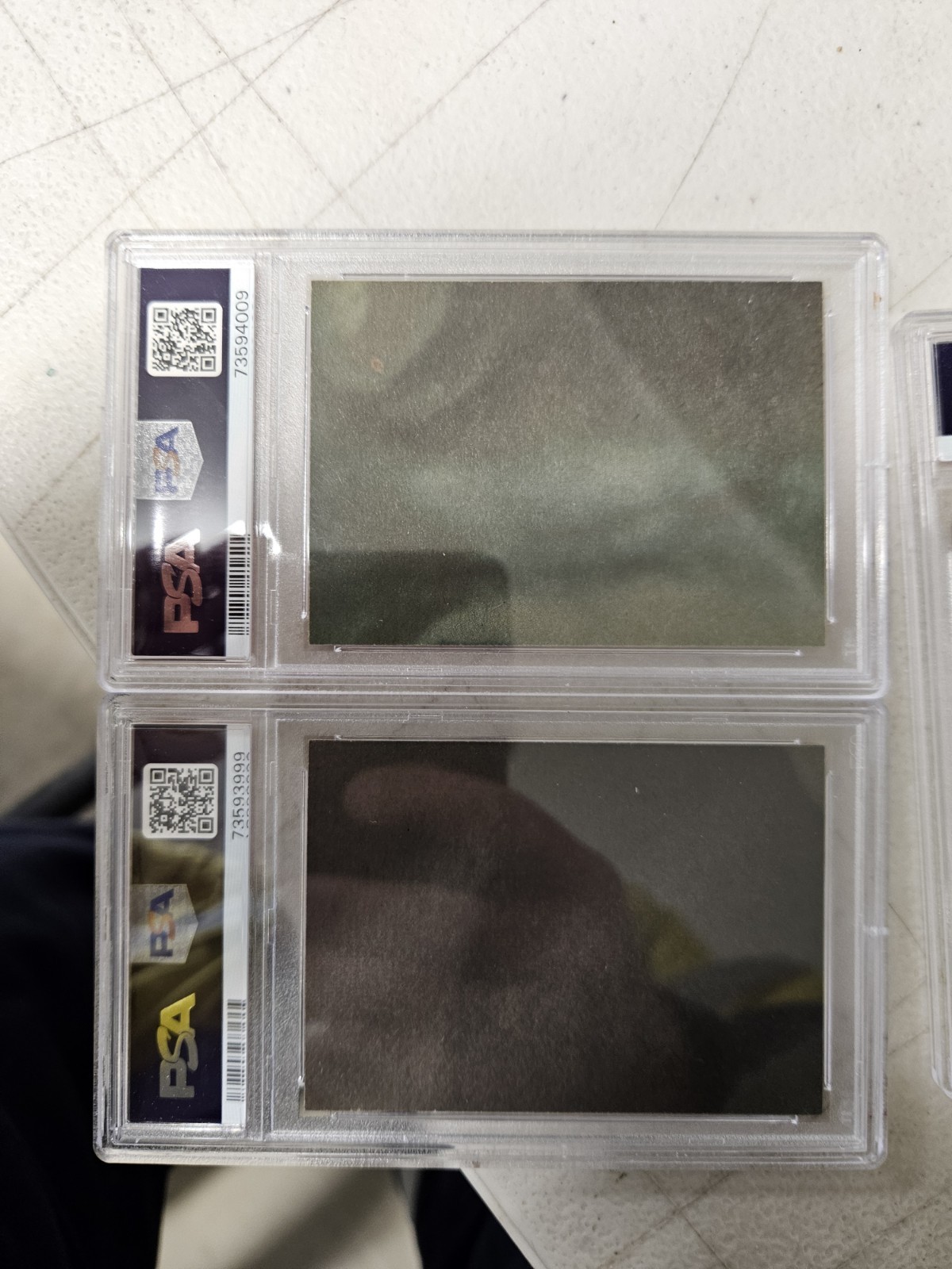 Picture 5 of 5