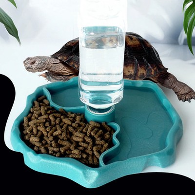 Reptile Feeder Dish 1pc Turtle Food Small Pet Bowl for Reptiles and Amphibians