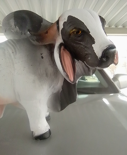 Großer Brahma Stier Keramik Statue Skulptur 26 Zoll - Bild 3 von 7