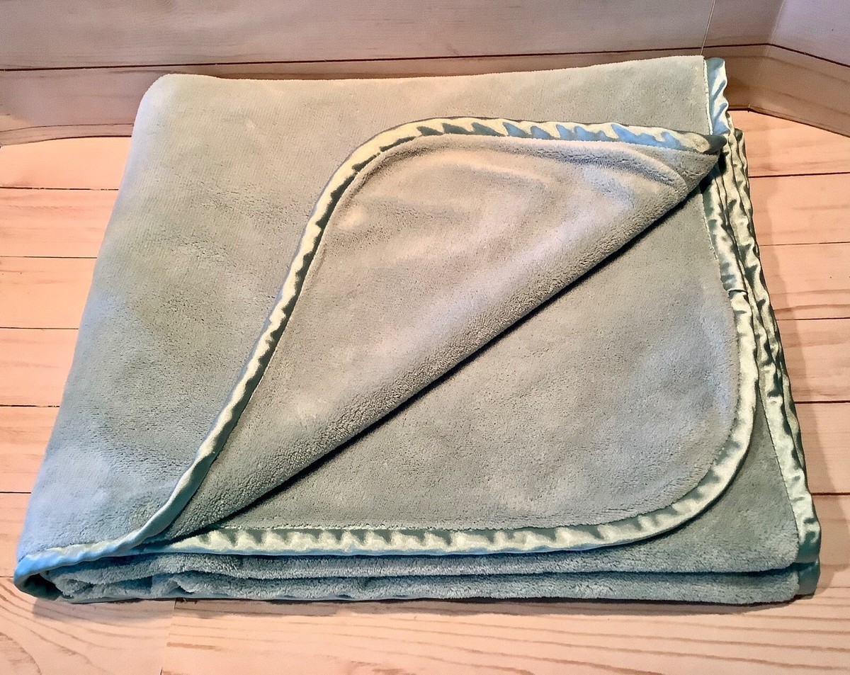 Brookstone NAP Plush ~TWO LAYER~ Blanket Baby Blue 60x36