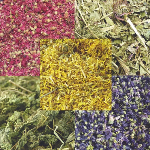 Bunny Bistro Dried Botanical Foods 1kg - Rabbit, Guinea Pig, Degu, Natural Food