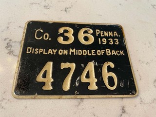 1933 Metal Pennsylvania Hunting License County 36