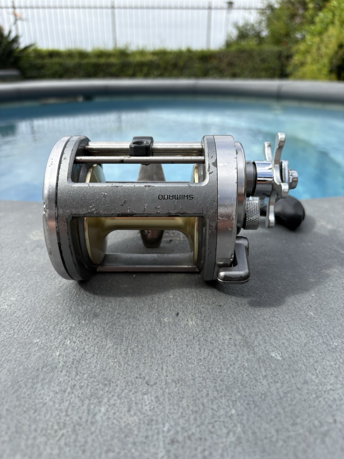 Shimano Tekota 800