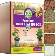 Recycle Fiddle Leaf Fig Soil Specialized for Fiddle Leaf Fig Plant Indoor 5-In-1