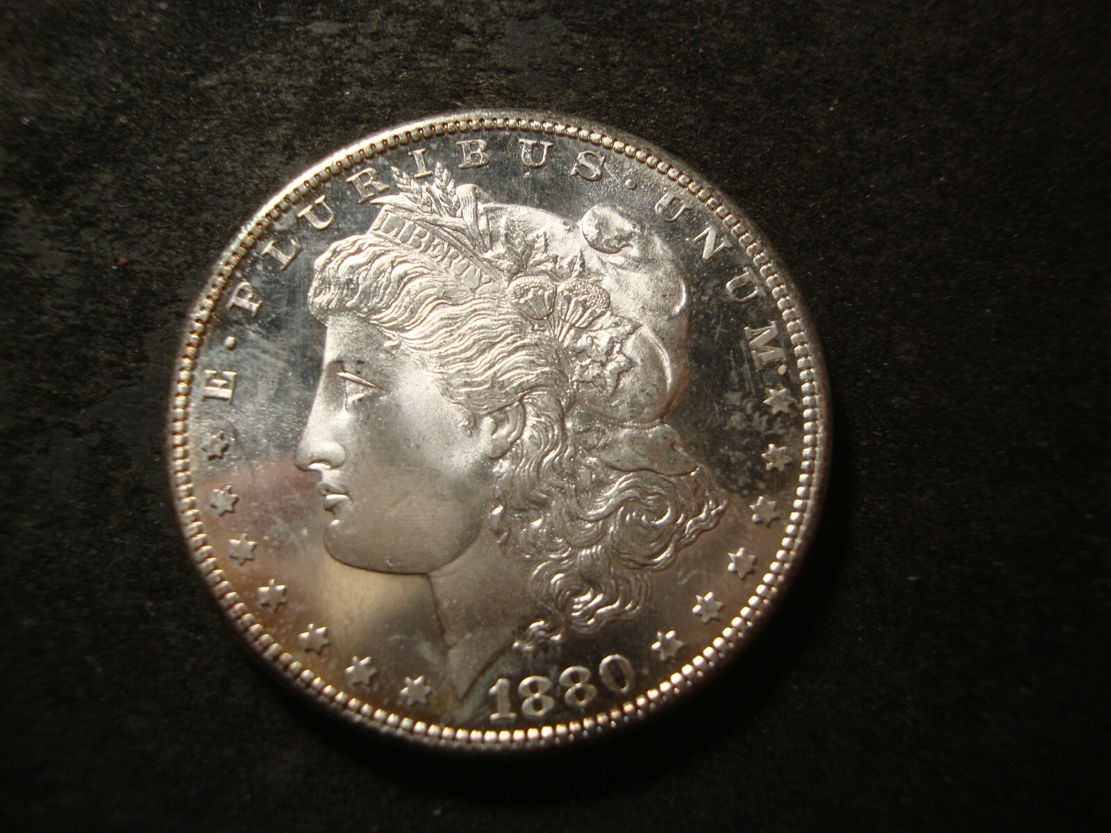 Picture 6 of 6