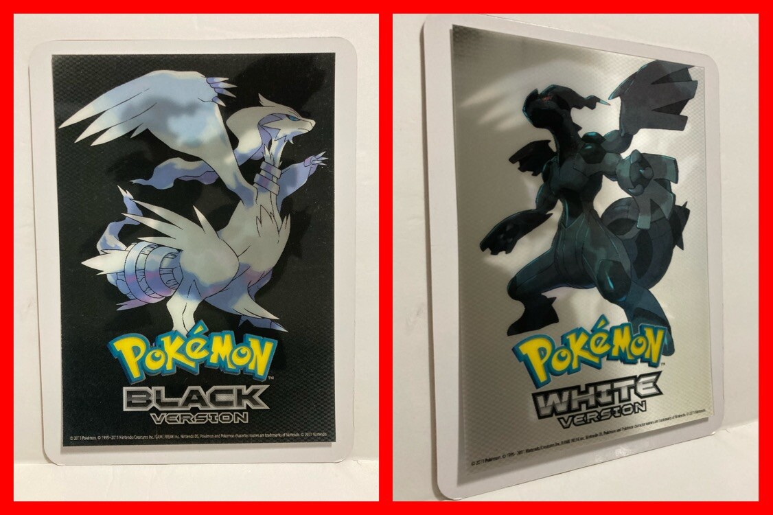 POKEMON Black and White 8