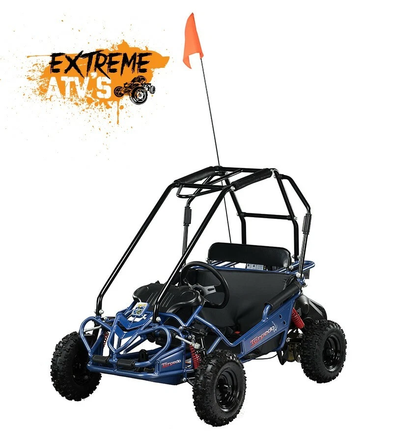 Kids petrol best sale buggy