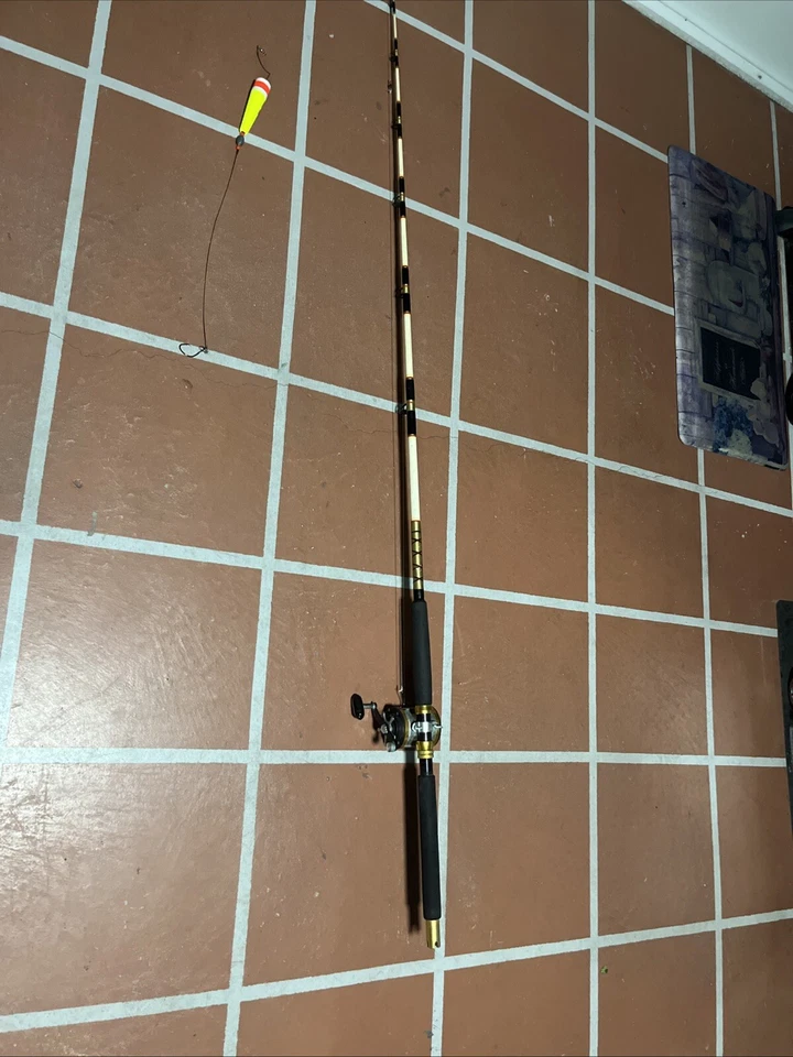 Juego de caña de pescar de aguas profundas peces en cualquier lugar en cualquier momento en excelente estado Foto 2 de 4