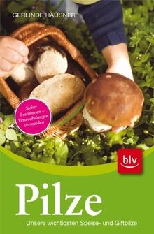 Pilze: Unsere wichtigsten Speise- und Giftpilze Sic... | Buch | Zustand sehr gut
