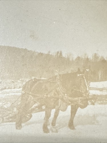 1890s Snow Scene Horses Logging Loggers Mountain Vtg 1880s Cabinet Card Photo - Picture 5 of 10