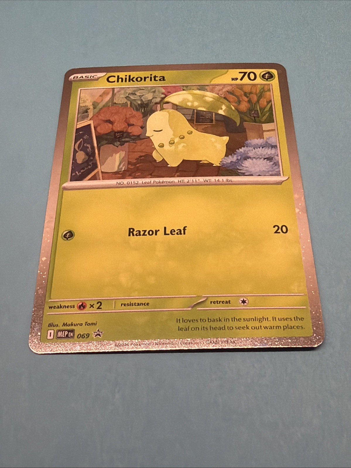 Chikorita 069 Black Star Promo Cosmos Holo Pokemon TCG- Mega Evolution - NM/M