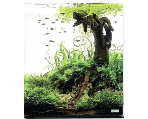 Aquarium DENNERLE Nano Cube 30 l mit schwarzer Rückwandfolie, Schaumstoffunterla - Bild 2 von 4