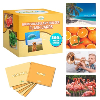 300 Noun Vocabulary Builder Flash Cards, Photo Cards with Learning Games and ...