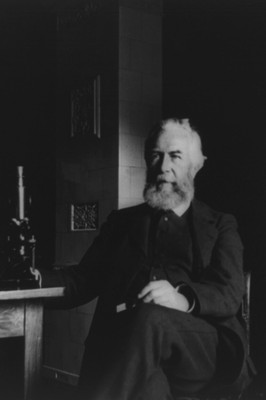 Ernst Haeckel von Jena Foto 