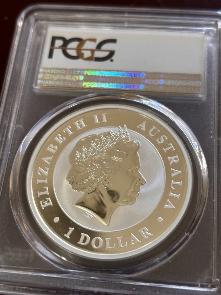 Kookaburra 2017 graduación profesional. Ms70 First Strike Foto 4 de 4