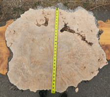 Live Edge Maple Wood Burl Cookie Slab Table Top