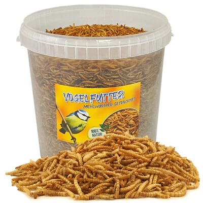 Vogelfutter 10 Liter Mehlwürmer getrocknet im Eimer Vögel Wildvogelfutter Nager