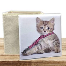BANBERRY DESIGNS Storage Bin with Kitten Picture - Padded Cover with Kitty Ph...