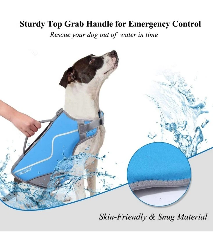 Vivaglory clearance dog vest