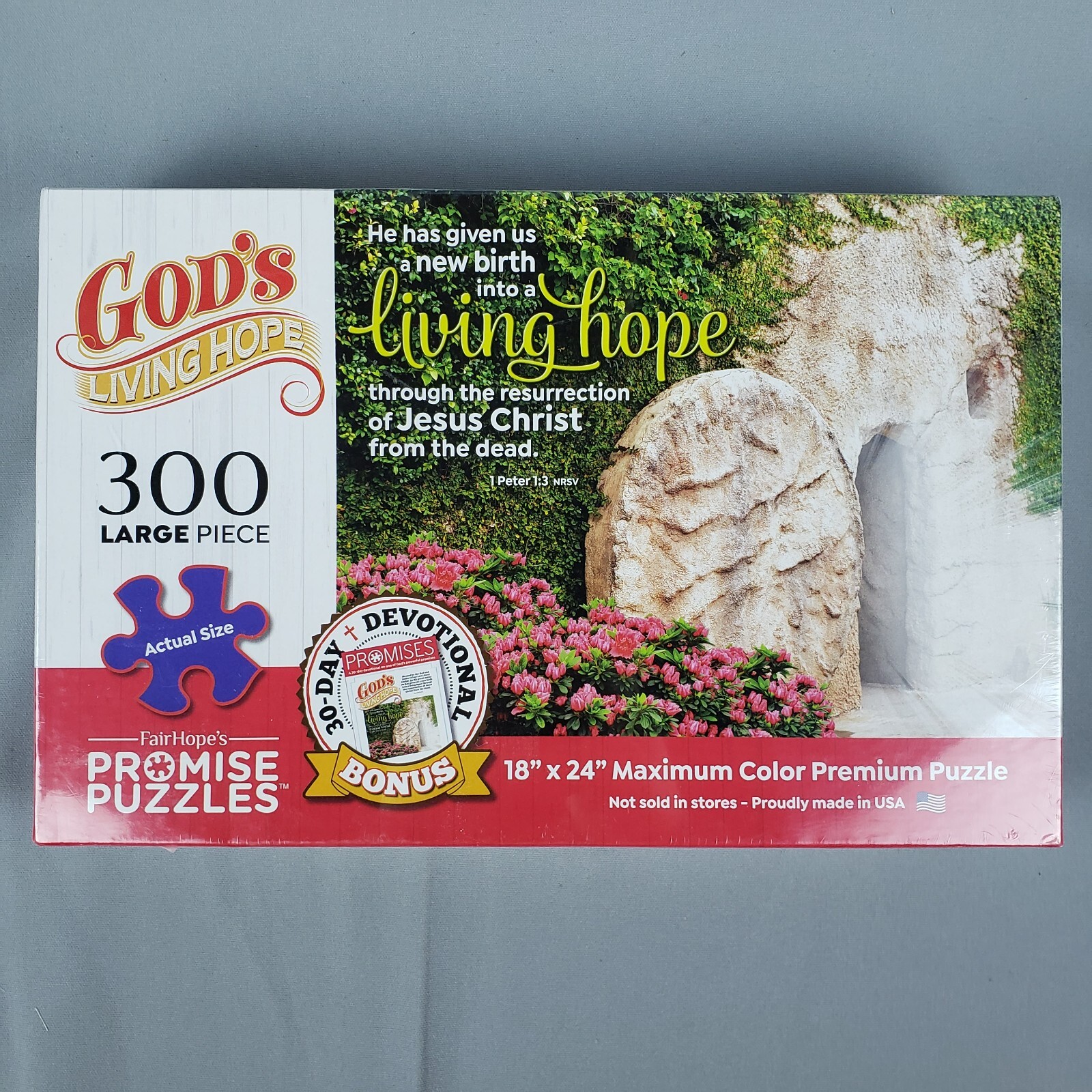 FairHope's Promise Puzzle GOD'S LIVING HOPE 300 Lg Piece Bible Verse