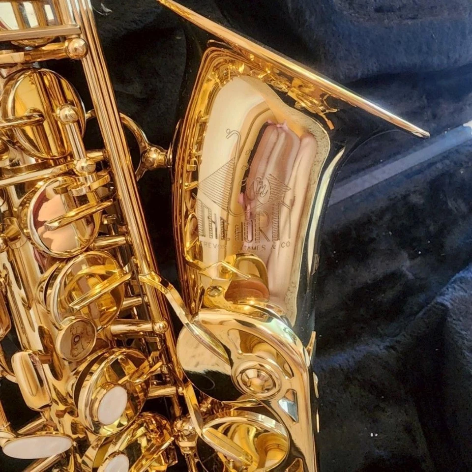 TREVOR J.JAMES Saxophon THE HORN Revolution Gold mit Hartschalenkoffer aus JA... - Bild 4 von 4