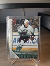 Anaheim Mighty Ducks Card Lot