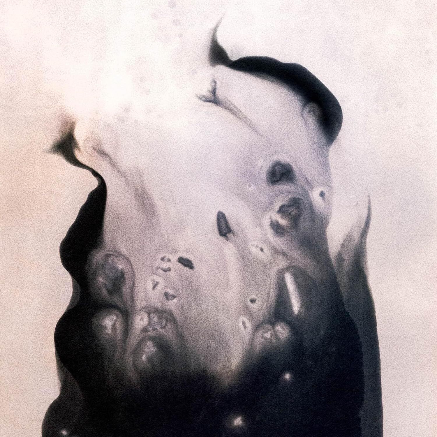 Marla Hansen Salt (Vinyl LP) 12" Album