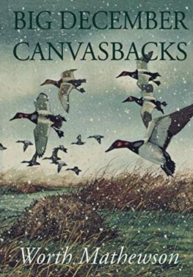 Big December Canvasbacks by Mathewson  New 9781568331539 Fast Free Shipping.+
