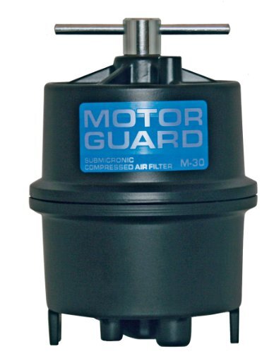 Motor Guard M-30 Compressed Air Filter, Sub-micronic - 45 Cfm (m30 ...
