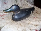 ANTIQUE BLACK DUCK ?  DECOY- 1920-30'S ERA?- MASON FACTORY? HAND PAINTED- AS IS — photo 7