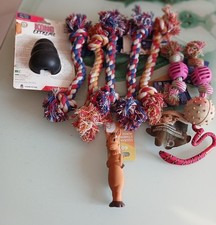 lot de 10 jouets pour chiens