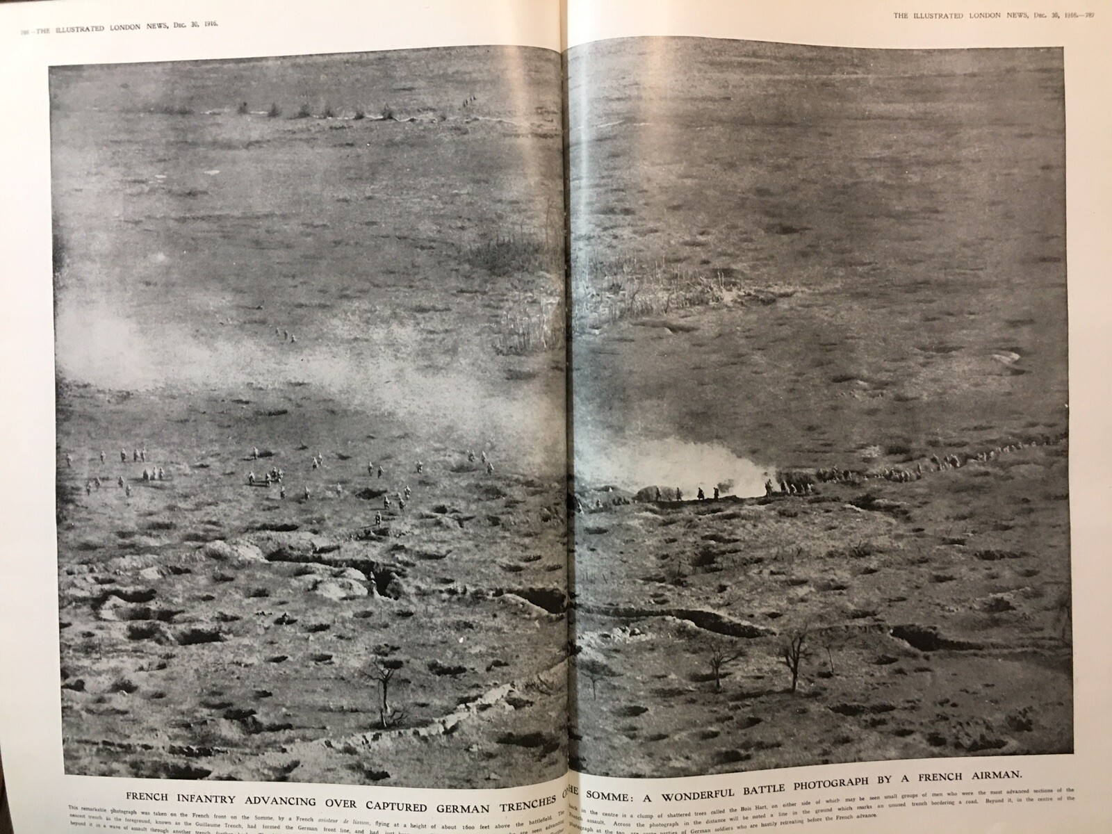 Picture 3 of 11