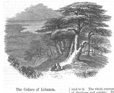 Japan's Zinmu - Cincinnati's Industrial Exposition Buildings