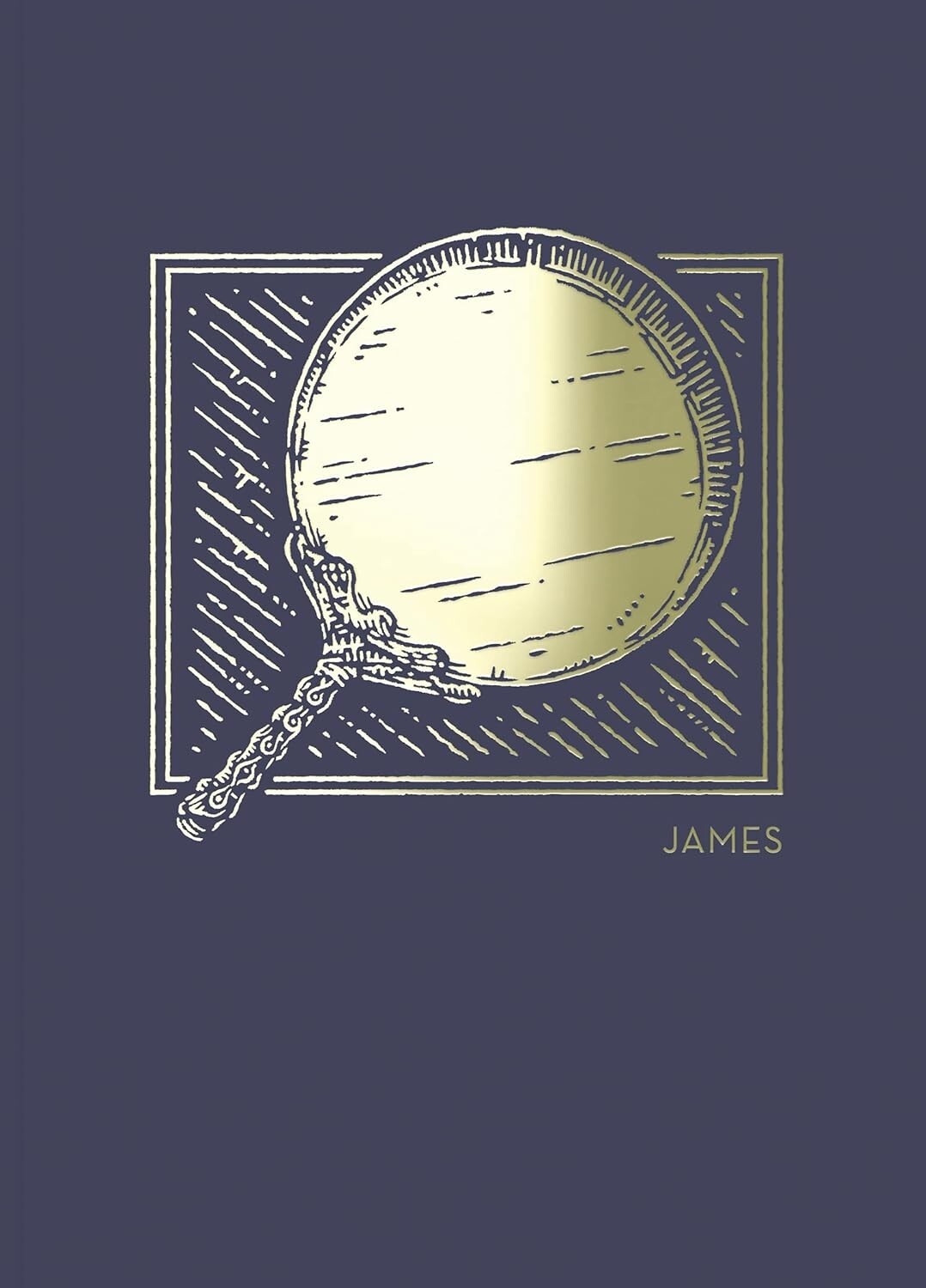 James Bible Journal NET Abide Comfort Print: Holy Bible Paperback
