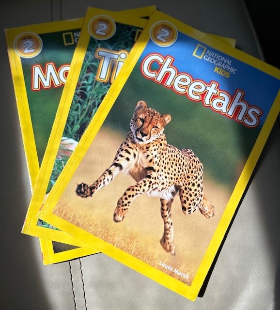 【新品海外購入]37冊NationalGeographickids level2 Amazon.com: Tigers (National Geographic Kids Readers, Level
