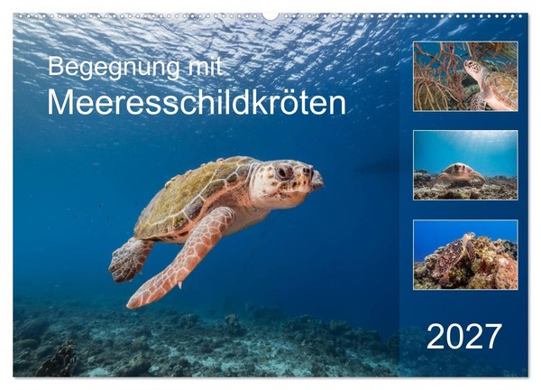 Begegnung Mit MeeresschildkröTen (Wandkalender 2027 DIN A2 Quer), Calvendo Monat-image